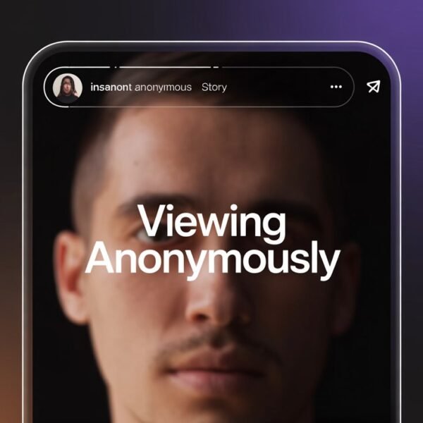 Insanont anonymous Instagram story viewer interface screenshot