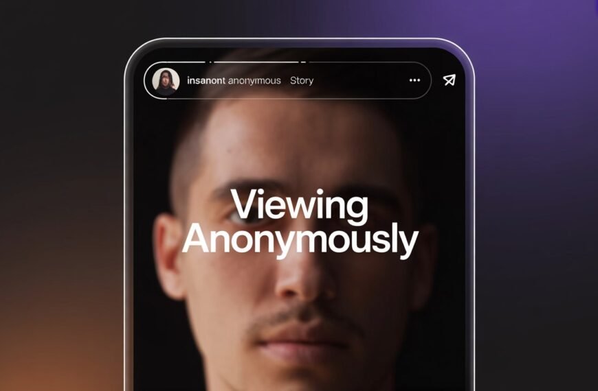 Insanont anonymous Instagram story viewer interface screenshot