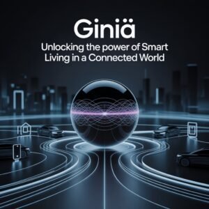 giniä