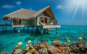 dive resort